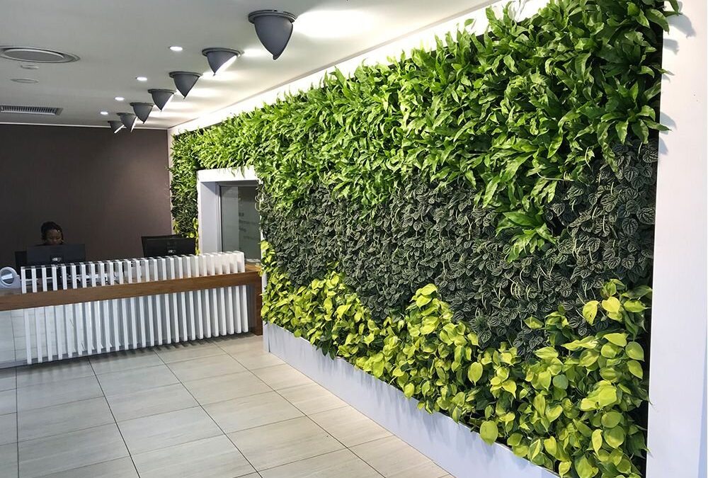 Desain Taman Vertikal di Dinding