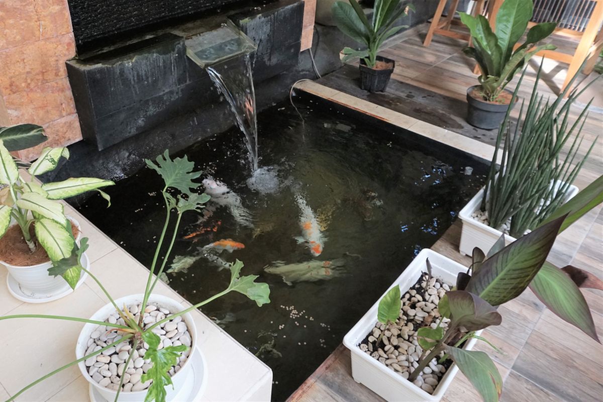 Desain Taman dengan Kolam Ikan